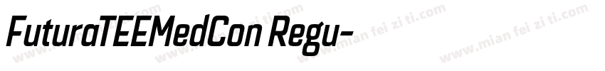 FuturaTEEMedCon Regu字体转换